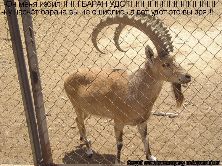 -Он меня избил!!!!!!!! БАРАН УДОТ!!!!!!!!!!!!!!!!!!!!!!!!!!!!!!!!!!!! -ну насчёт барана вы не ошиблис... Котоматрица: -Он меня избил!!!!!!!! БАРАН УДОТ!!!!!!!!!!!!!!!!!!!!!!!!!!!!!!!!!!!! -ну насчёт барана вы не ошиблись а вот удот это вы зря!!!
