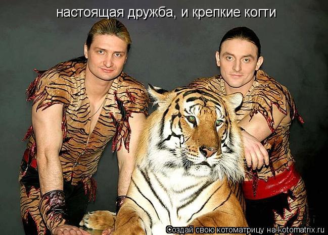 Котоматрица: настоящая дружба, и крепкие когти