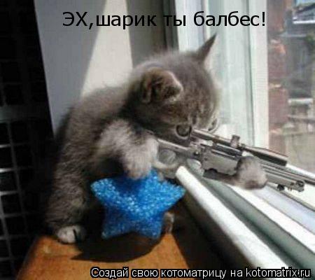 Котоматрица: ЭХ,шарик ты балбес!