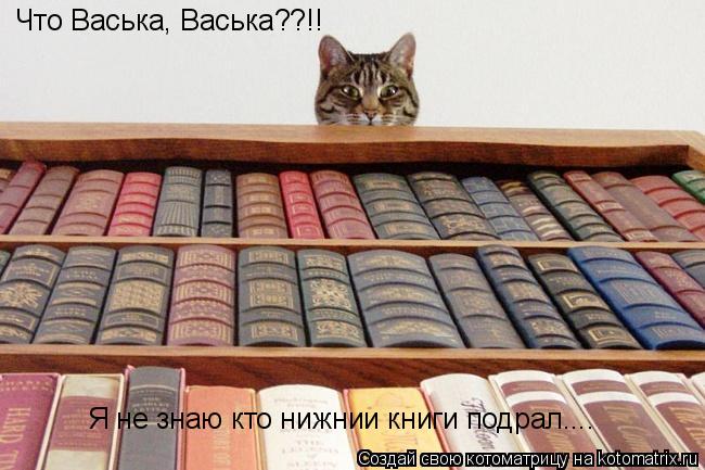 Котоматрица: Что Васька, Васька??!! Я не знаю кто нижнии книги подрал....