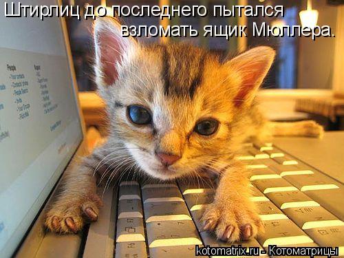 Котоматрица: Штирлиц до последнего пытался взломать ящик Мюллера.