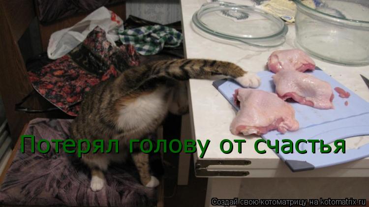 Потерял голову от счастья... Котоматрица: Потерял голову от счастья