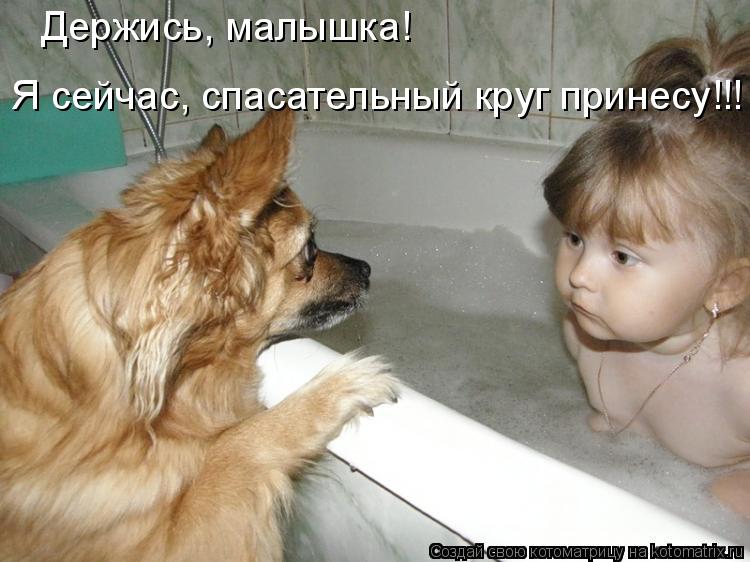 Котоматрица: Держись, малышка! Я сейчас, спасательный круг принесу!!!