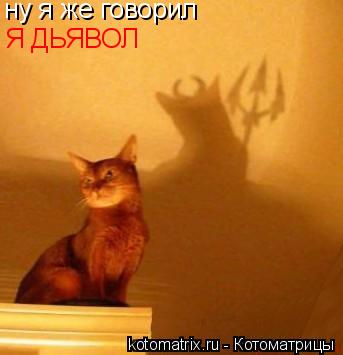 ну я же говорил Я ДЬЯВОЛ... Котоматрица: ну я же говорил Я ДЬЯВОЛ