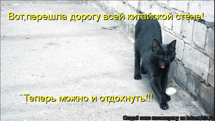 Котоматрица: Вот,перешла дорогу всей китайской стене! Теперь можно и отдохнуть!!!