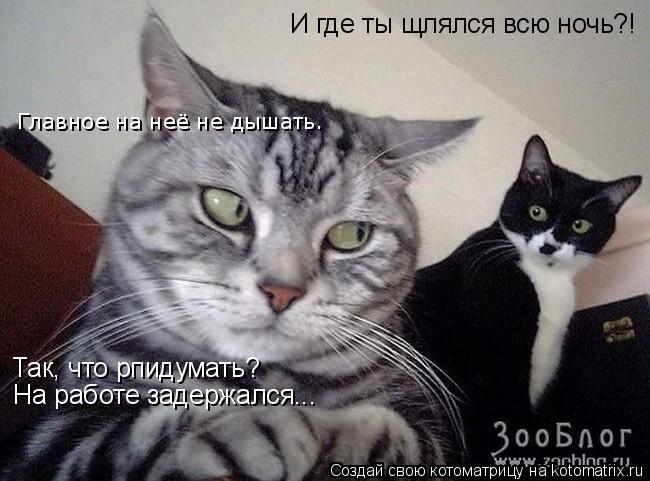 И где ты щлялся всю ночь?! Так, что рпидумать? На работе задержался... Главное на неё не дышать.... Котоматрица: И где ты щлялся всю ночь?! Так, что рпидумать? На работе задержался... Главное на неё не дышать.