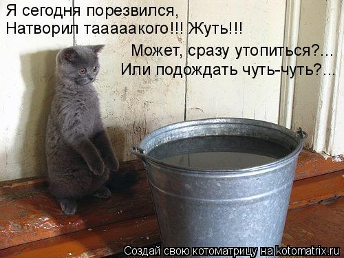Котоматрица: Я сегодня порезвился,  Натворил тааааакого!!! Жуть!!!  Может, сразу утопиться?... Или подождать чуть-чуть?...