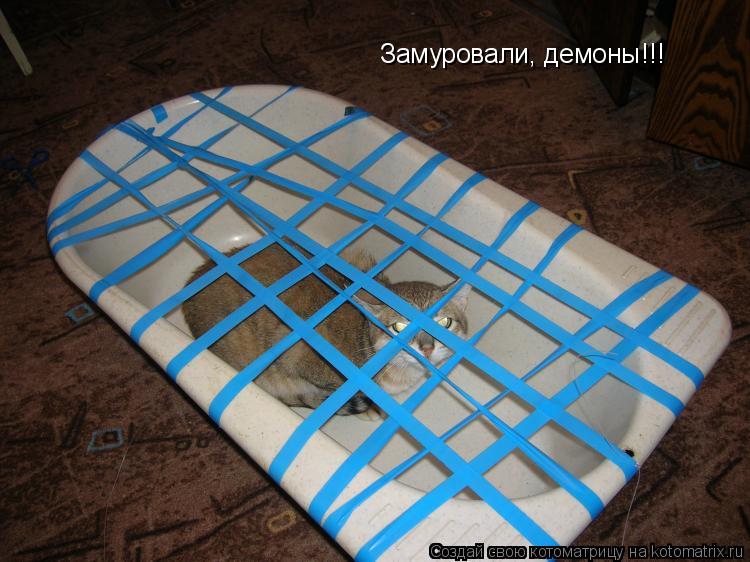 Замуровали, демоны!!!... Котоматрица: Замуровали, демоны!!!