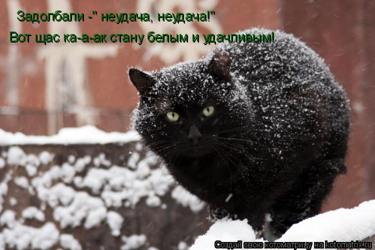 Задолбали -" неудача, неудача!" Вот щас ка-а-ак стану белым и удачливым!... Котоматрица: Задолбали -" неудача, неудача!" Вот щас ка-а-ак стану белым и удачливым!
