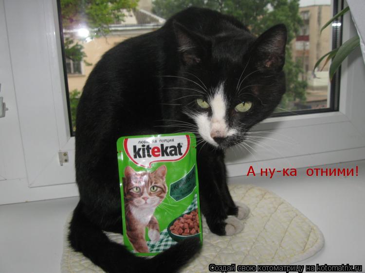 А ну-ка отними!... Котоматрица: А ну-ка отними!