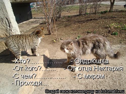 -Хто?.................. - Ондрюшка -От кого?........ - От отца Нектария -С чем?................... Котоматрица: -Хто?.................. - Ондрюшка -От кого?........ - От отца Нектария -С чем?................ - С миром - Проходи...