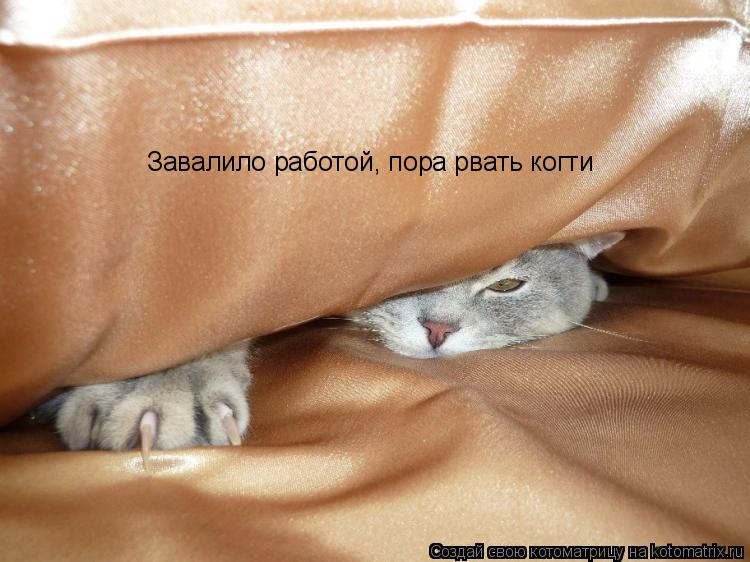 Завалило работой, пора рвать когти... Котоматрица: Завалило работой, пора рвать когти