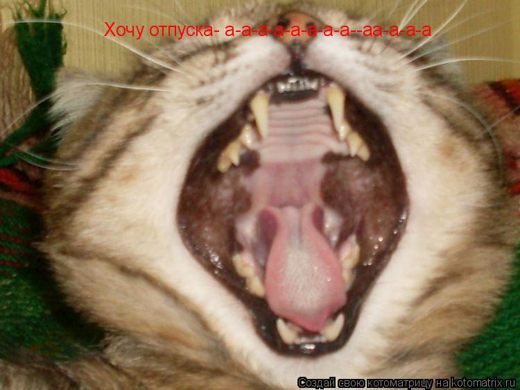Хочу отпуска- а-а-а-а-а-а-а-а--аа-а-а-а... Котоматрица: Хочу отпуска- а-а-а-а-а-а-а-а--аа-а-а-а
