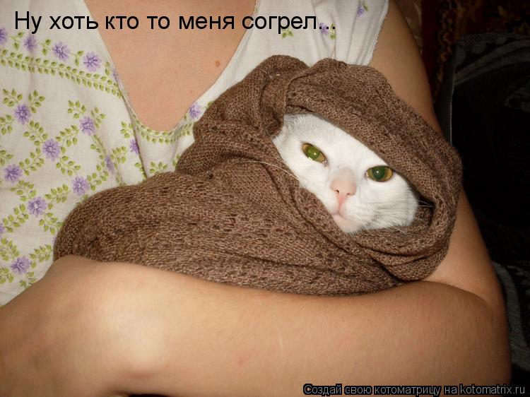 Ну хоть кто то меня согрел...... Котоматрица: Ну хоть кто то меня согрел...