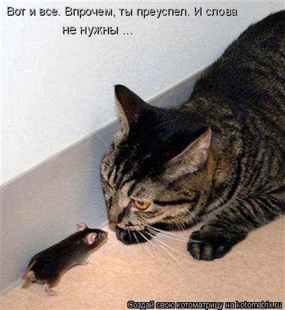 Вот и все… Впрочем, ты преуспел… И слова не нужны ...... Котоматрица: Вот и все… Впрочем, ты преуспел… И слова не нужны ...