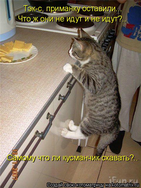 Тэк-с, приманку оставили... Что ж они не идут и не идут?.. Самому что ли кусманчик схавать?..... Котоматрица: Тэк-с, приманку оставили... Что ж они не идут и не идут?.. Самому что ли кусманчик схавать?..