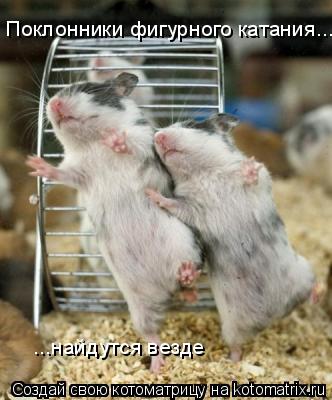 Поклонники фигурного катания... ...найдутся везде... Котоматрица: Поклонники фигурного катания... ...найдутся везде