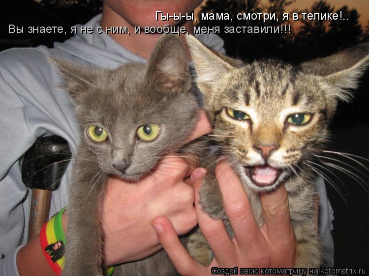 Гы-ы-ы, мама, смотри, я в телике!.. Вы знаете, я не с ним, и вообще, меня заставили!!!... Котоматрица: Гы-ы-ы, мама, смотри, я в телике!.. Вы знаете, я не с ним, и вообще, меня заставили!!!