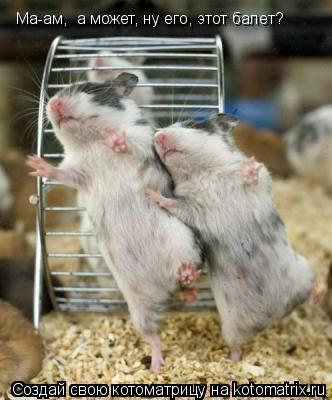 Ма-ам, а может, ну его, этот балет?... Котоматрица: Ма-ам, а может, ну его, этот балет?