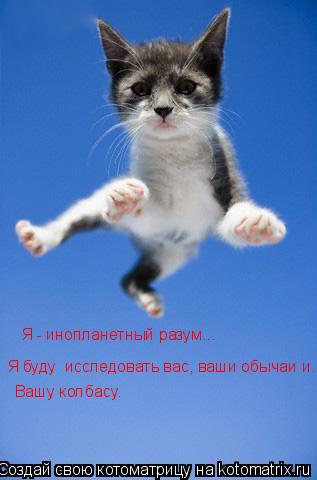 Котоматрица: Я - инопланетный разум... Я буду  исследовать вас, ваши обычаи и... Вашу колбасу.