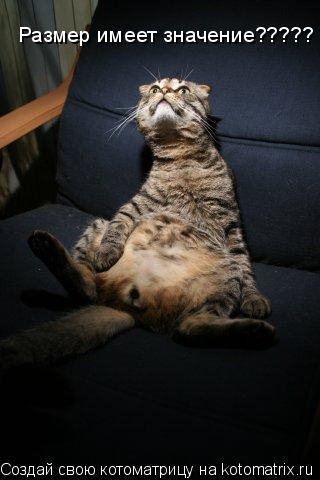 Размер имеет значение?????... Котоматрица: Размер имеет значение?????