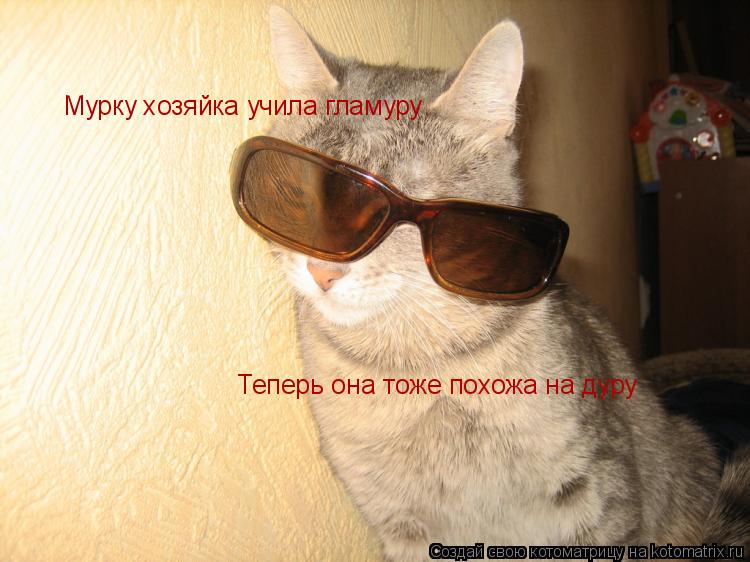 Мурку хозяйка учила гламуру Теперь она тоже похожа на дуру... Котоматрица: Мурку хозяйка учила гламуру Теперь она тоже похожа на дуру