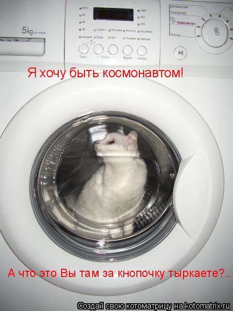 Котоматрица: Я хочу быть космонавтом! А что это Вы там за кнопочку тыркаете?..