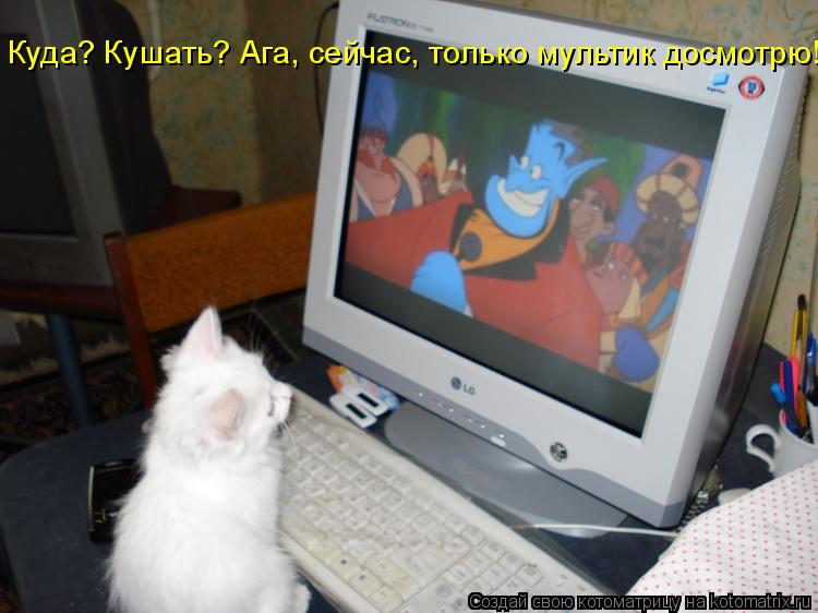 Куда? Кушать? Ага, сейчас, только мультик досмотрю!... Котоматрица: Куда? Кушать? Ага, сейчас, только мультик досмотрю!