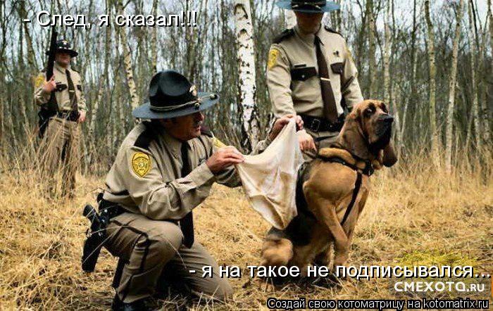 - я на такое не подписывался... - След, я сказал!!!... Котоматрица: - я на такое не подписывался... - След, я сказал!!!