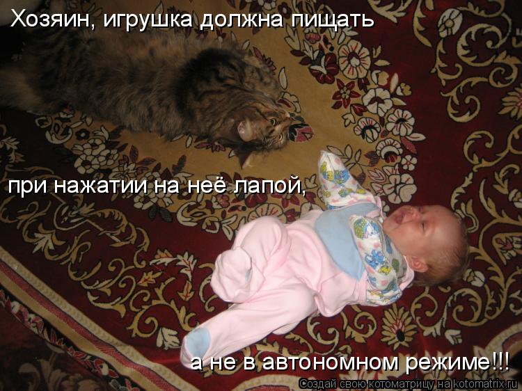 Котоматрица: Хозяин, игрушка должна пищать  при нажатии на неё лапой, а не в автономном режиме!!!