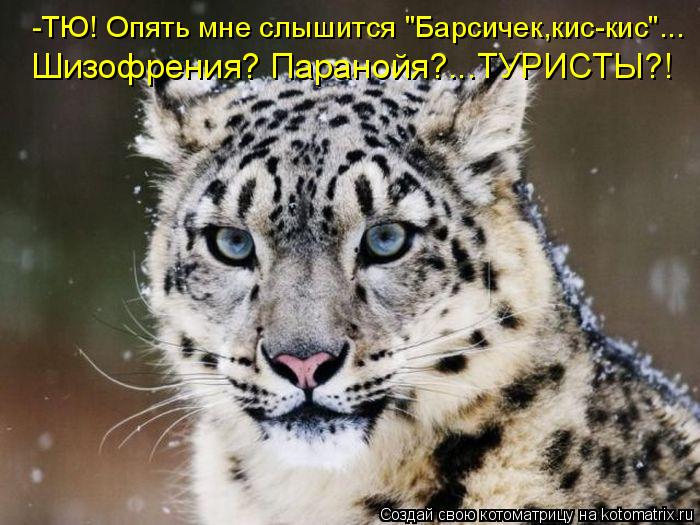 -ТЮ! Опять мне слышится "Барсичек,кис-кис"... Шизофрения? Паранойя?...ТУРИСТЫ?!... Котоматрица: -ТЮ! Опять мне слышится "Барсичек,кис-кис"... Шизофрения? Паранойя?...ТУРИСТЫ?!