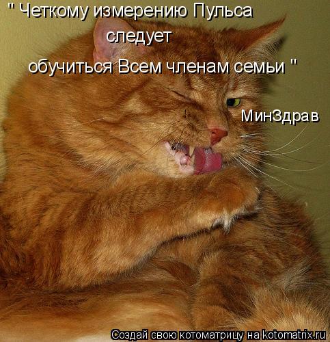 Котоматрица: МинЗдрав обучиться Всем членам семьи " " Четкому измерению Пульса    следует