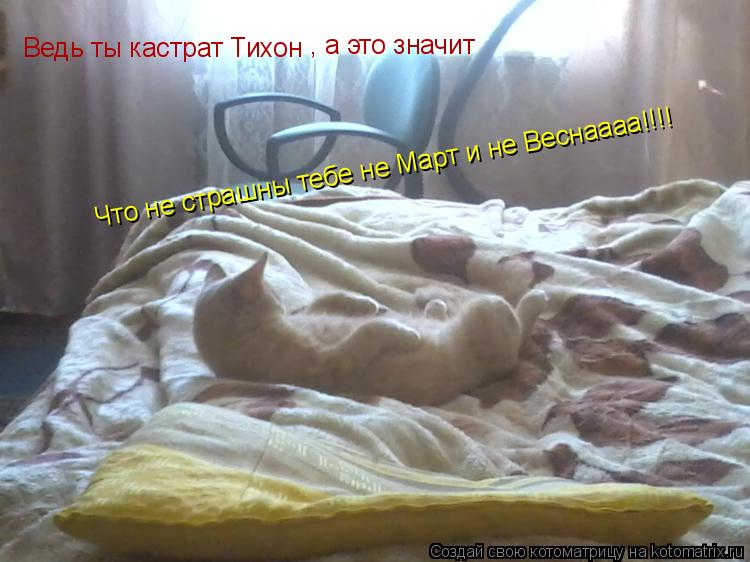 Котоматрица: Ведь ты кастрат Тихон  , а это значит  Что не страшны тебе не Март и не Веснаааа!!!!
