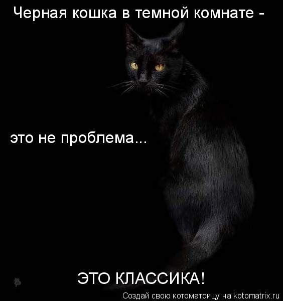 Черная кошка в темной комнате - это не проблема... ЭТО КЛАССИКА!... Котоматрица: Черная кошка в темной комнате - это не проблема... ЭТО КЛАССИКА!