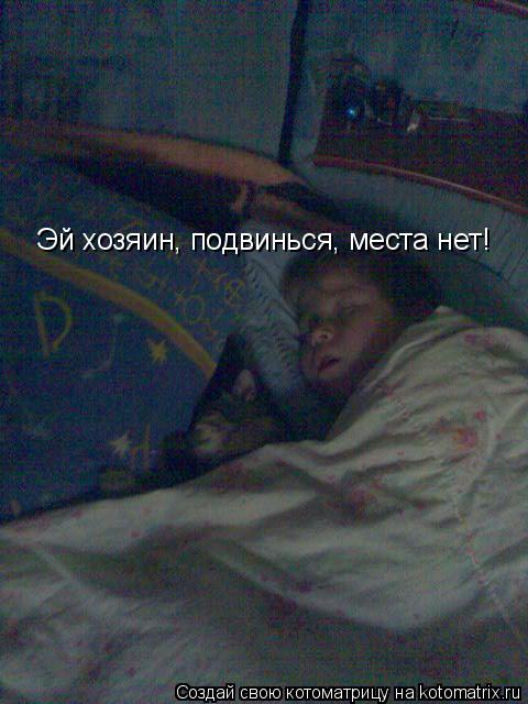 Эй хозяин, подвинься, места нет!... Котоматрица: Эй хозяин, подвинься, места нет!