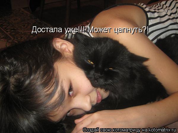 Достала уже!!! Может цапнуть?!... Котоматрица: Достала уже!!! Может цапнуть?!