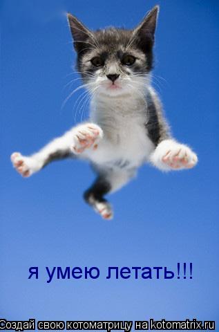 я умею летать!!!... Котоматрица: я умею летать!!!