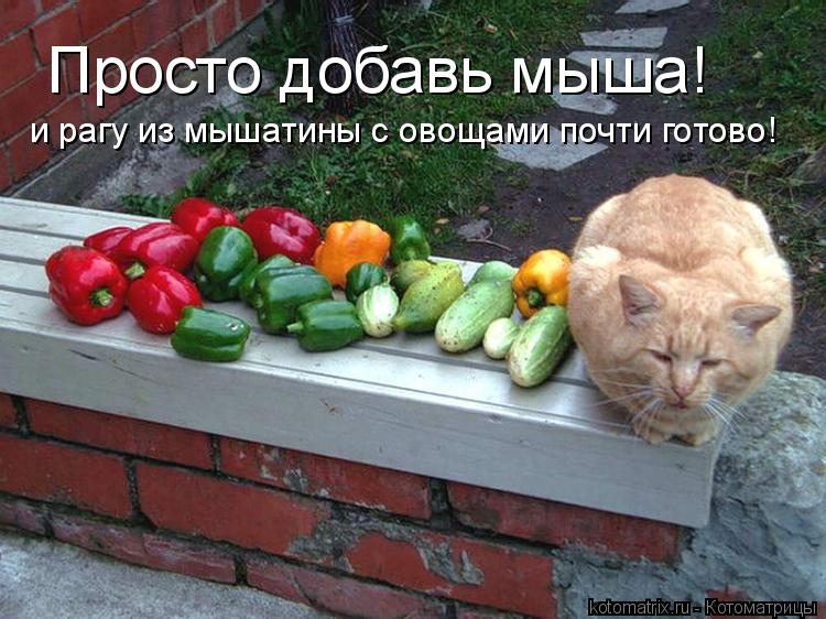Просто добавь мыша! и рагу из мышатины с овощами почти готово!... Котоматрица: Просто добавь мыша! и рагу из мышатины с овощами почти готово!