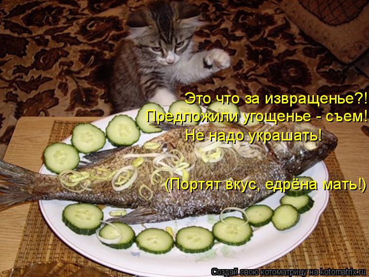 Это что за извращенье?! Предложили угощенье - съем! Не надо украшать! (Портят вкус, едрёна мать!)... Котоматрица: Это что за извращенье?! Предложили угощенье - съем! Не надо украшать! (Портят вкус, едрёна мать!)