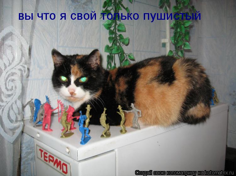 вы что я свой только пушистый... Котоматрица: вы что я свой только пушистый
