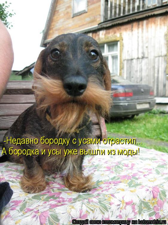 -Недавно бородку с усами отрастил... А бородка и усы уже вышли из моды!... Котоматрица: -Недавно бородку с усами отрастил... А бородка и усы уже вышли из моды!