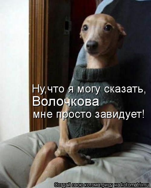 Котоматрица: Ну,что я могу сказать, Волочкова  мне просто завидует!