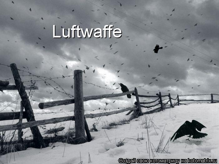 Luftwaffe... Котоматрица: Luftwaffe
