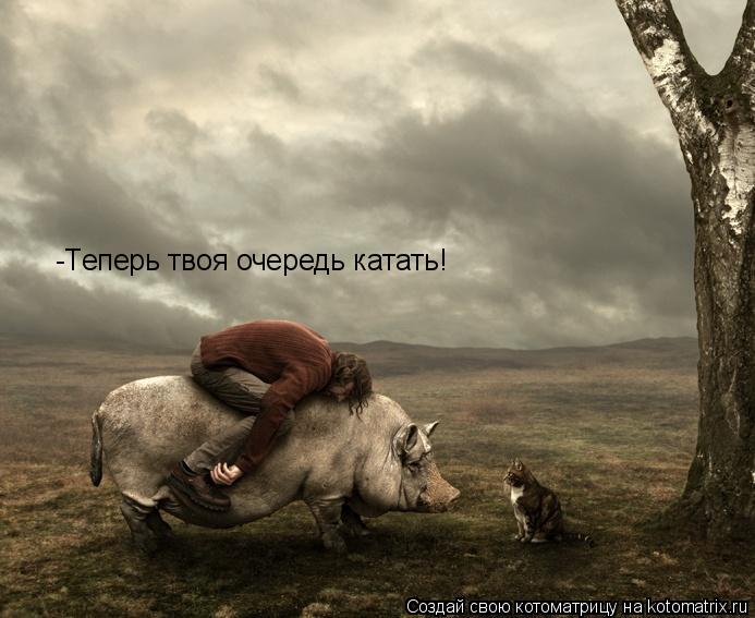 -Теперь твоя очередь катать!... Котоматрица: -Теперь твоя очередь катать!