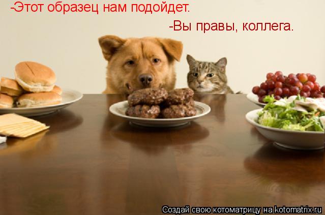 Котоматрица: -Этот образец нам подойдет. -Вы правы, коллега.