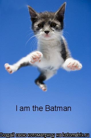 Котоматрица: I am the Batman