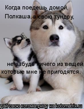 Котоматрица: Когда поедешь домой, Полкаша,  в свою тундру, не забудь ничего из вещей,  которые мне не пригодятся.