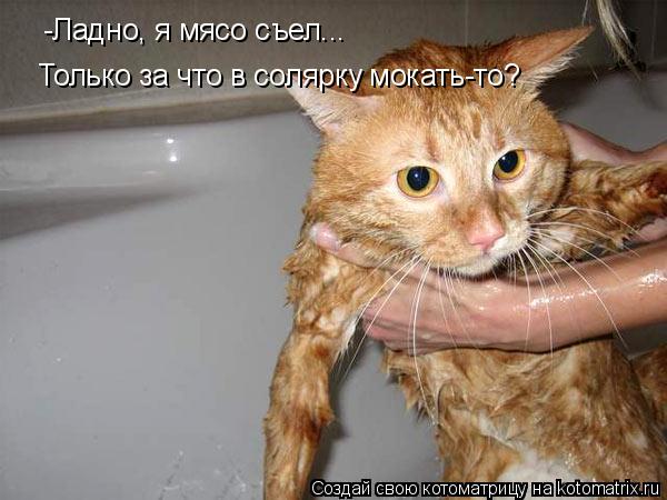 Котоматрица: -Ладно, я мясо съел... Только за что в солярку мокать-то?