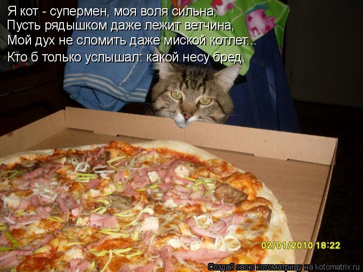 Я кот - супермен, моя воля сильна, Пусть рядышком даже лежит ветчина, Кто б только услышал: какой нес... Котоматрица: Я кот - супермен, моя воля сильна, Пусть рядышком даже лежит ветчина, Кто б только услышал: какой несу бред. Мой дух не сломить даже миской кот