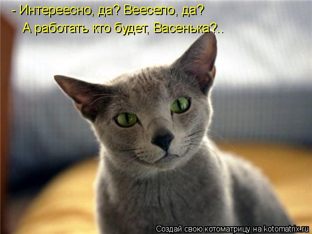 Котоматрица: - Интереесно, да? Веесело, да? А работать кто будет, Васенька?..